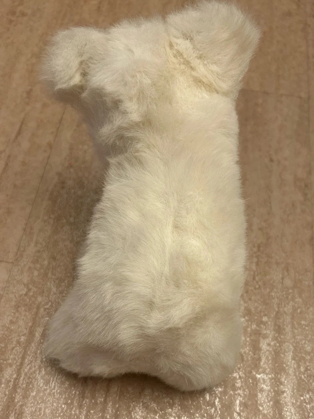 Vintage Steiff Cozy Issy Polar Bear Plush Tag Earred Button 0437/23 7 1/2”